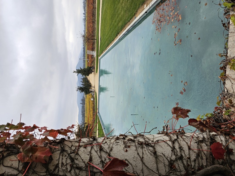 A winery near Valparaiso