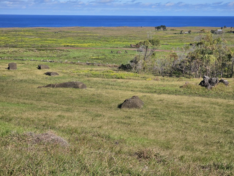 Moai in transit from the quarry on Easter Island