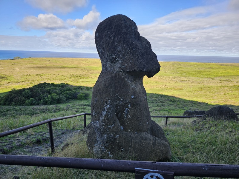 The only sitting Moai on Easter Island