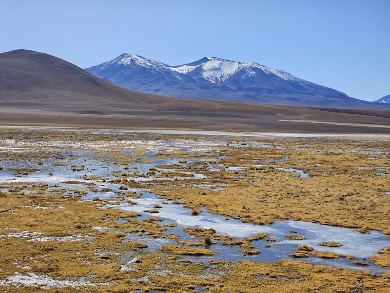 Mountains behind a marsh in the north of Chile