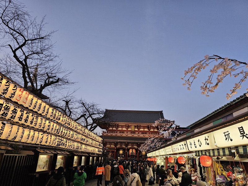 Senso-ji Temple at night