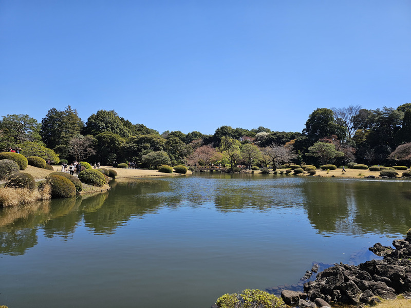 Shinjuku Goyen National Garden before it turned green