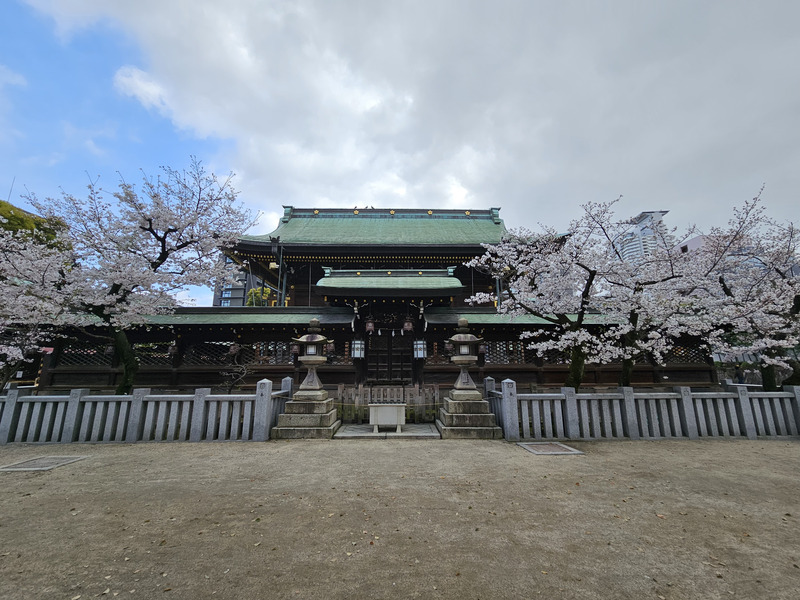 Cherry Blossoms at Osaka's Tenmangu Shrine