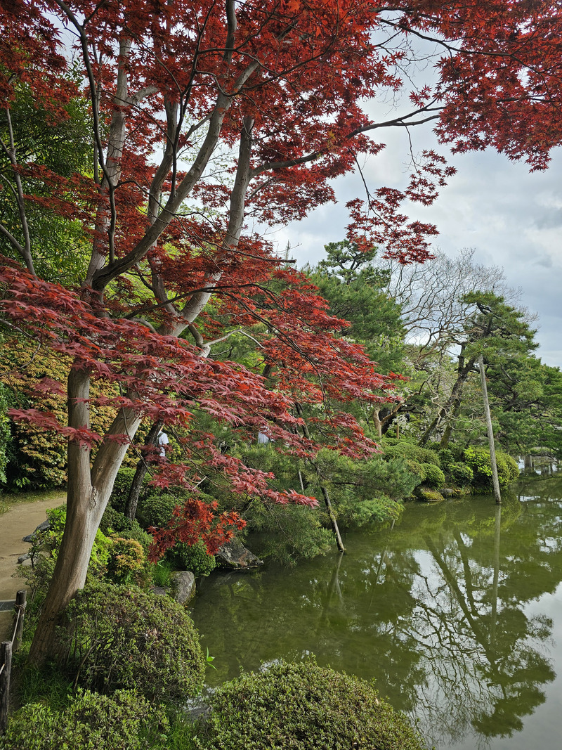 Heian Shrine Garden