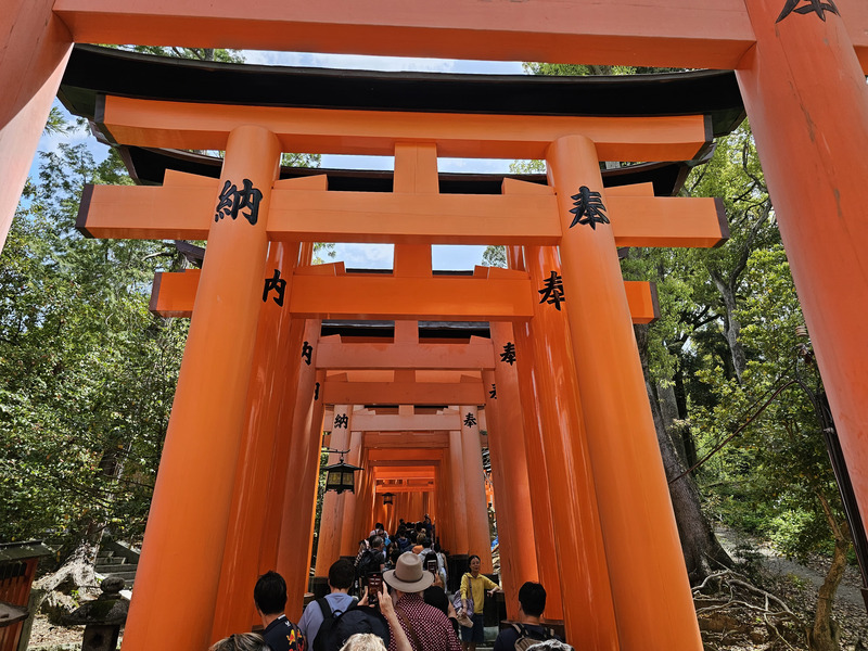 crowded Fushimi Inari Shrine gates