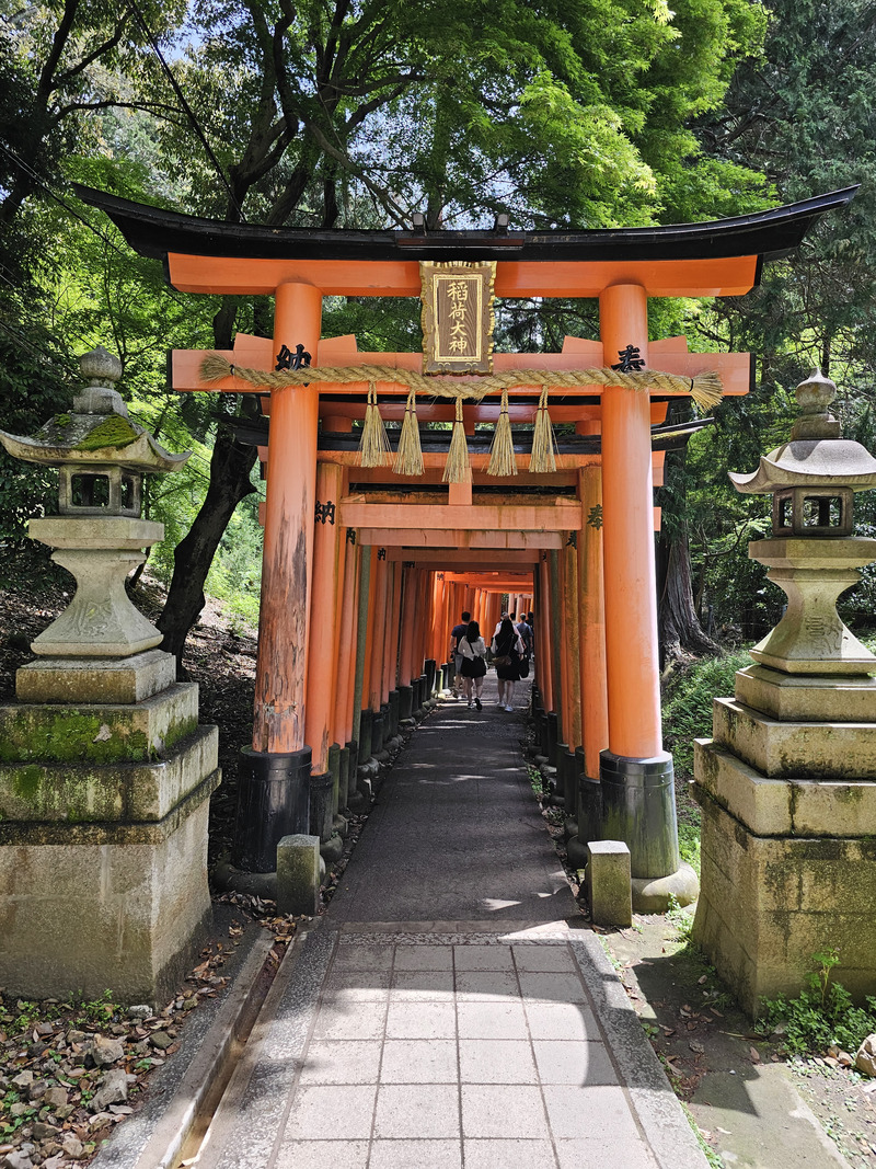 Fushimi Inari Shrine gates