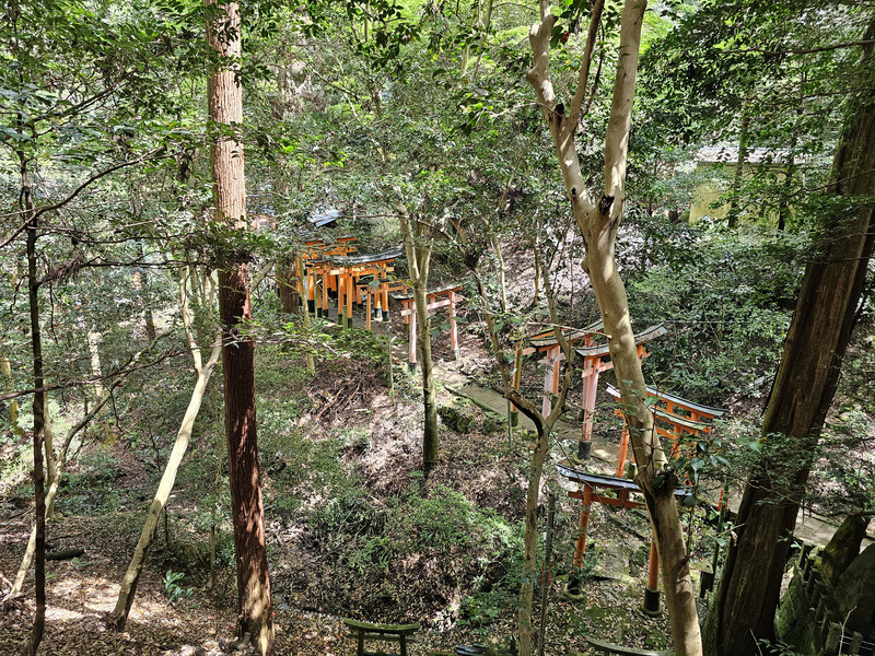 Fushimi Inari Shrine gates from above