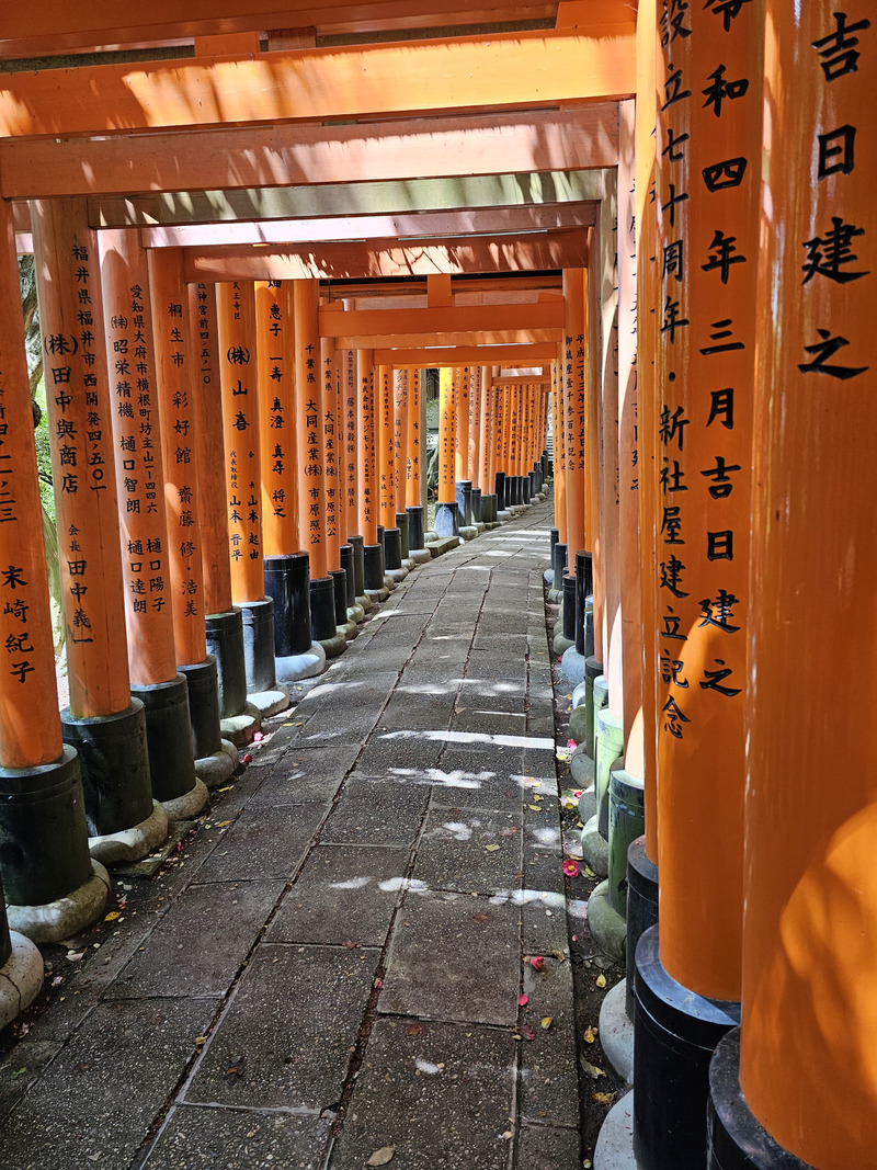 empty Fushimi Inari Shrine gates