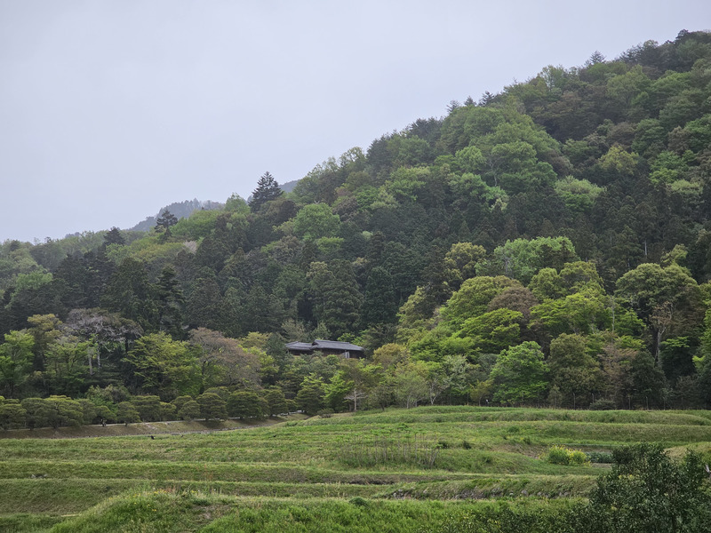 Kyoto Shugakuin Imperial Villa distance shot