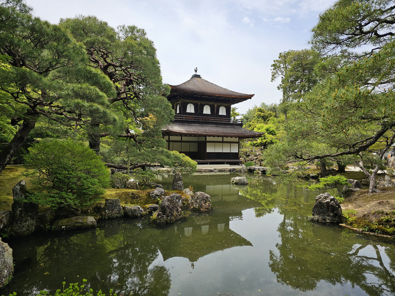 Kyoto Jisho-ji garden moss