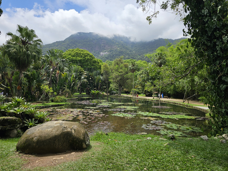 A pond within the Botanical Gardens